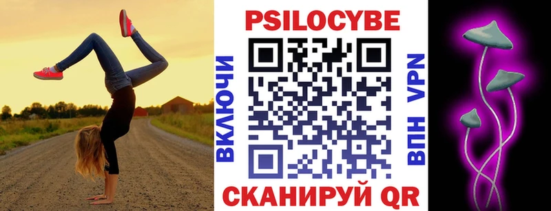 Псилоцибиновые грибы Psilocybe Арсеньев