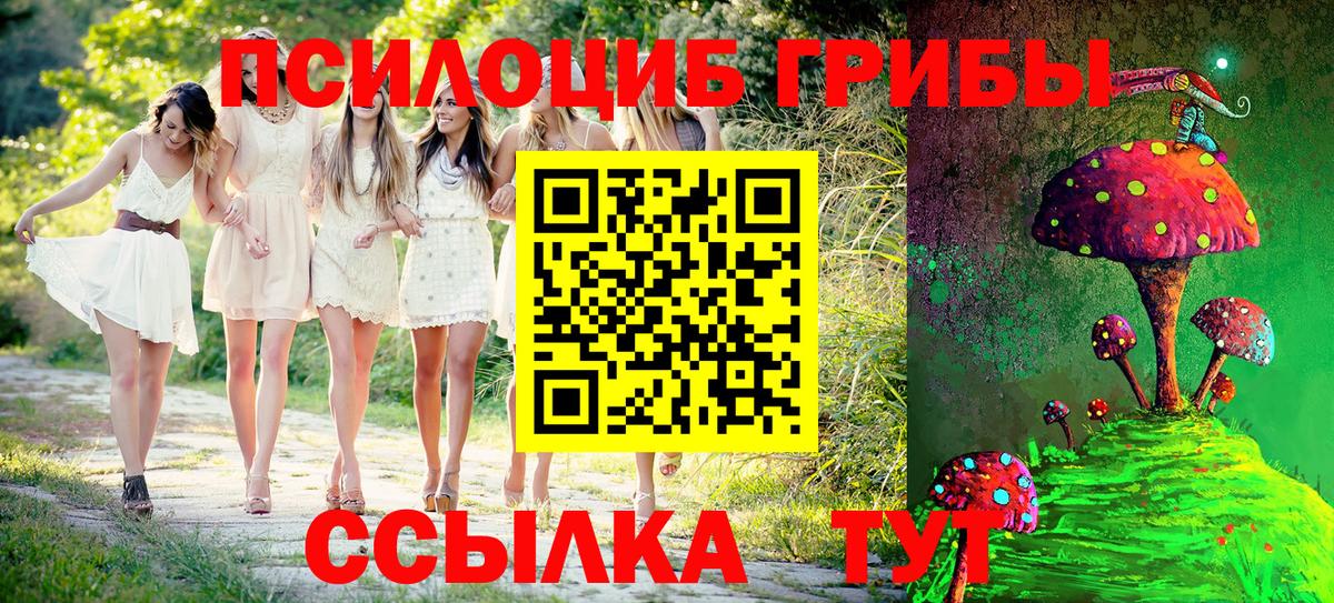 Псилоцибиновые грибы мухоморы Арсеньев