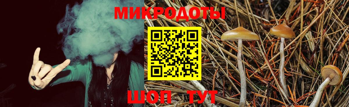 Галлюциногенные грибы MAGIC MUSHROOMS Арсеньев